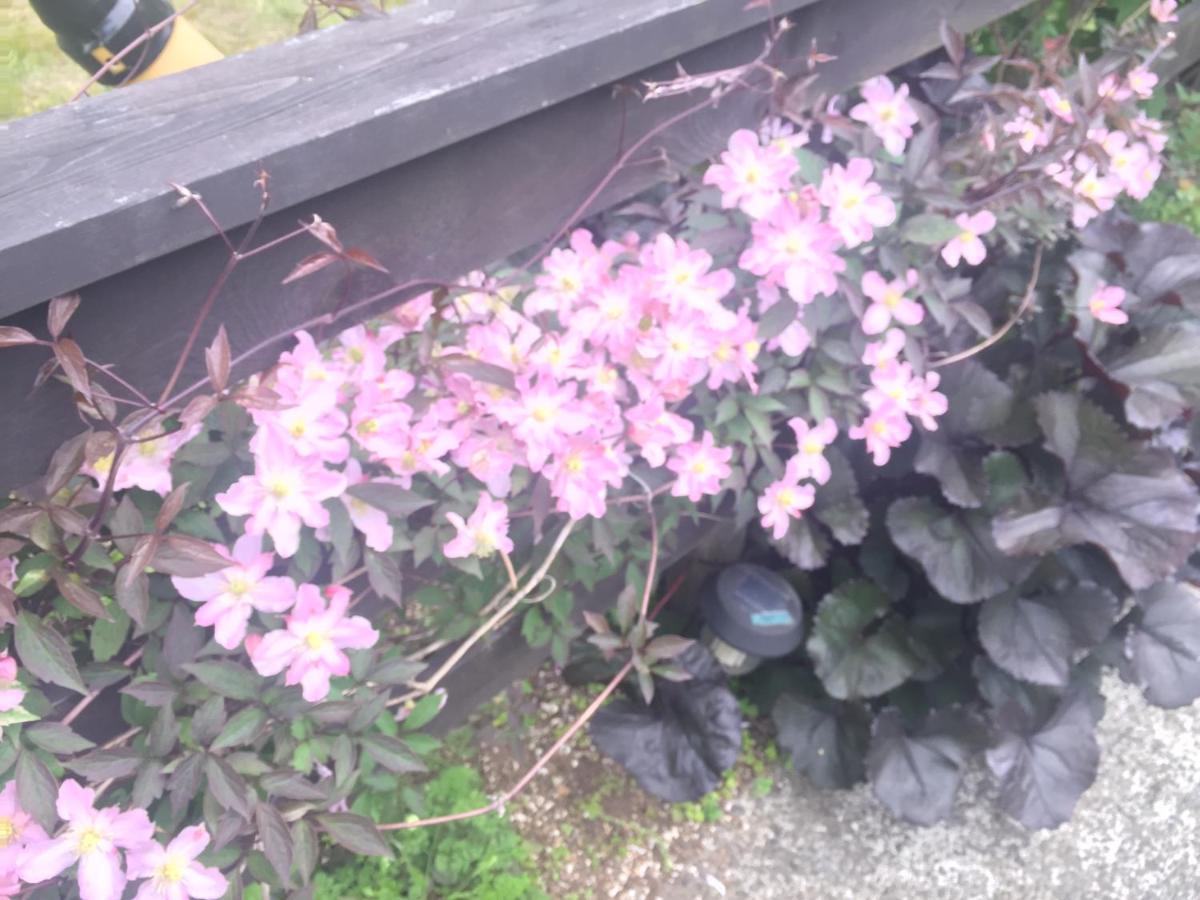 Villa Loca Garden Yamanakako Zewnętrze zdjęcie